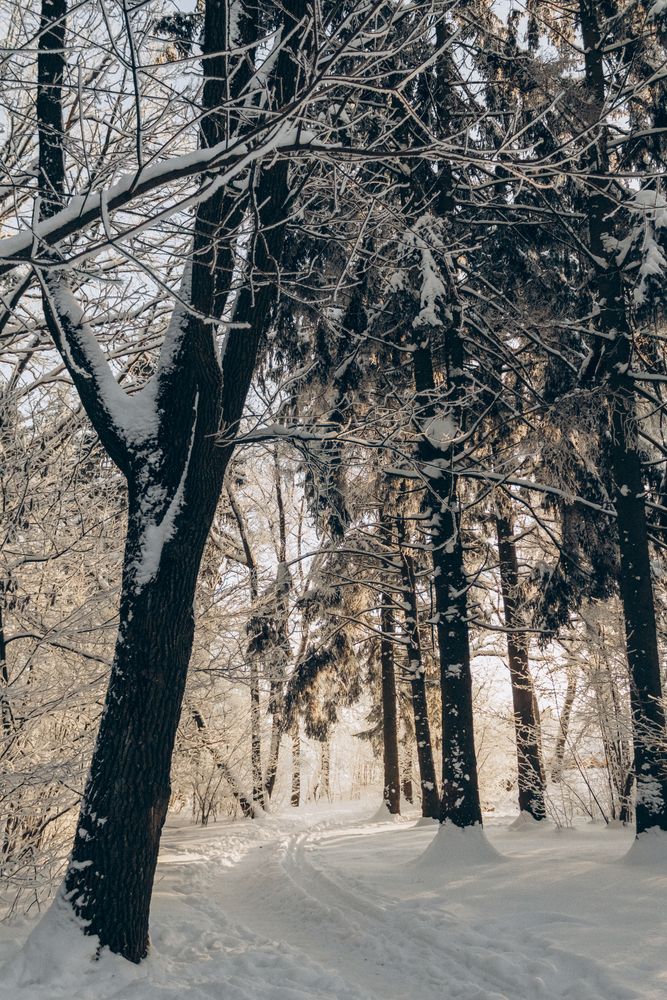 Photograph by Елена Копылова