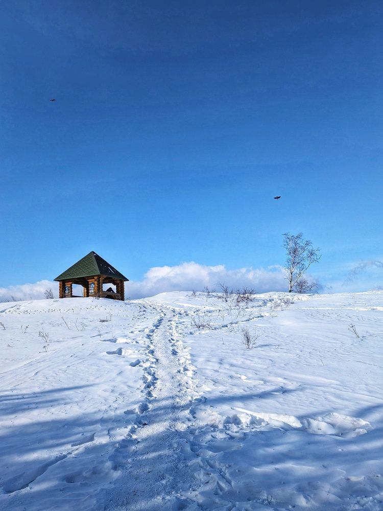 Фотография автора Наталья Савинкова