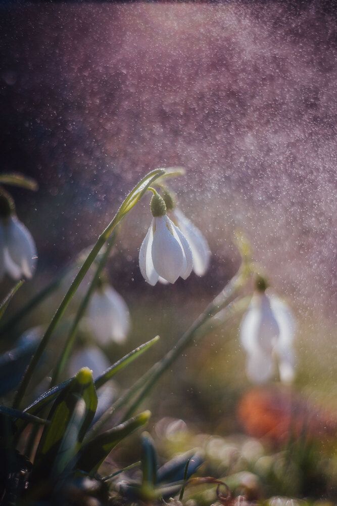 Photograph by Дмитров Андрей
