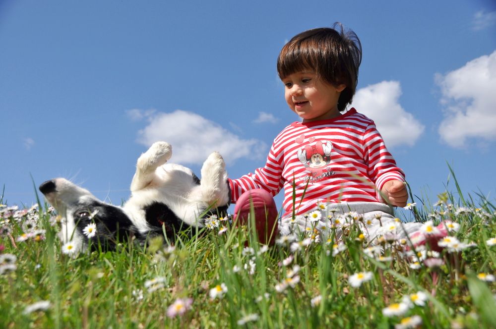 Фотография автора james mossali