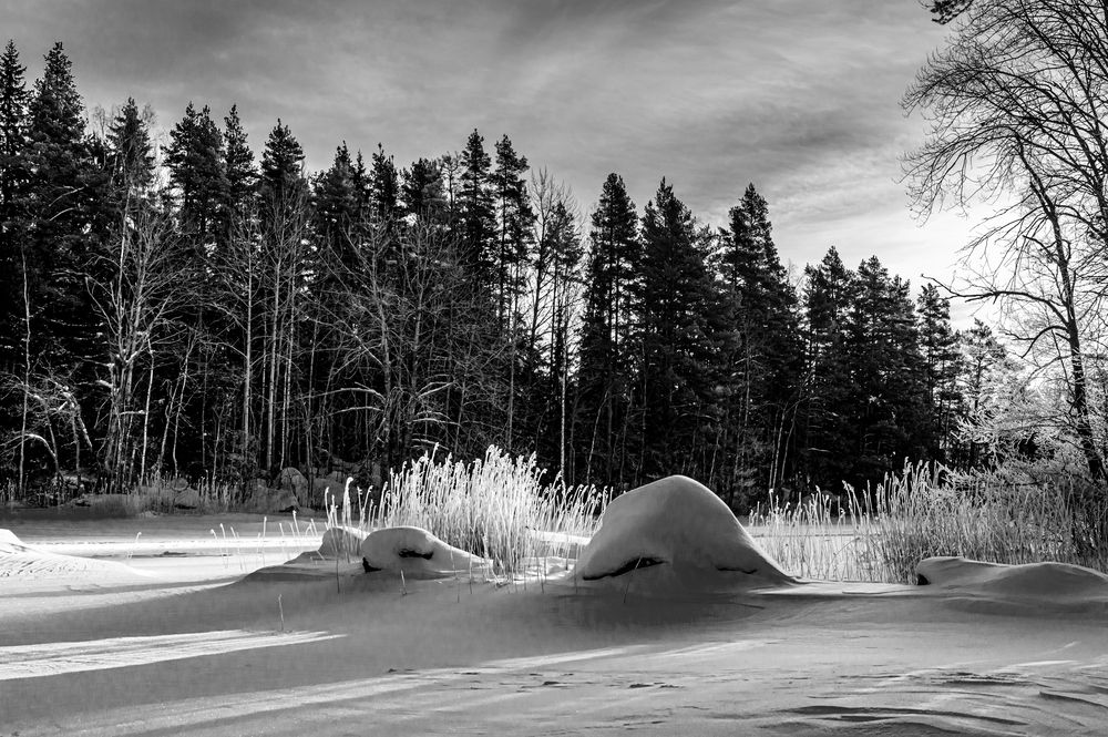 Photograph by Gennadiy Slezkin