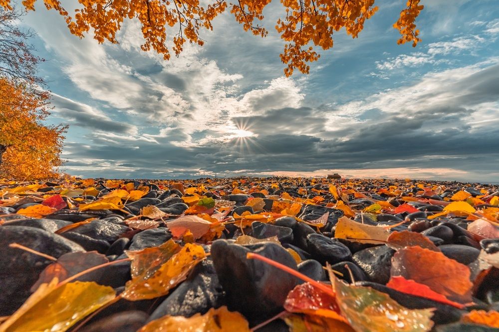 Photograph by Виктория Лобанова