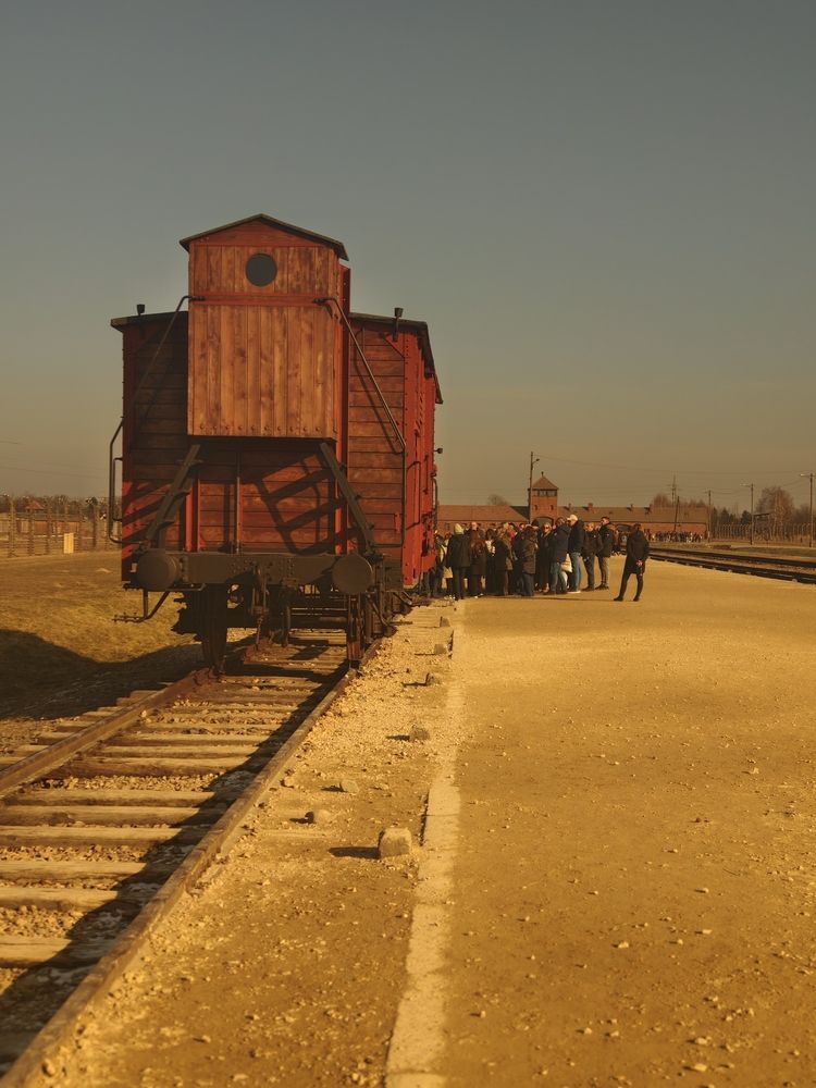 Photograph by Zdarova Natasha