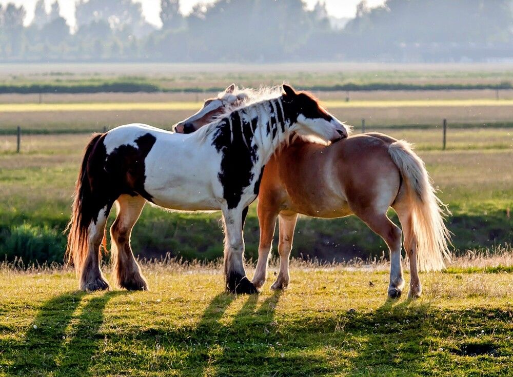 Фотография автора Людмила Прокофьева