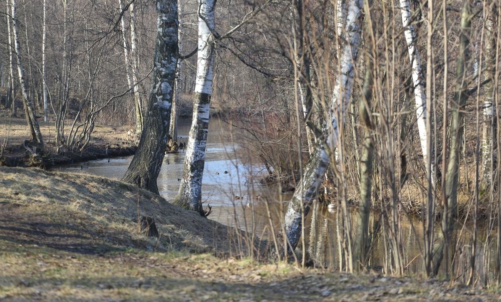 Photograph by Станислав Вершинин