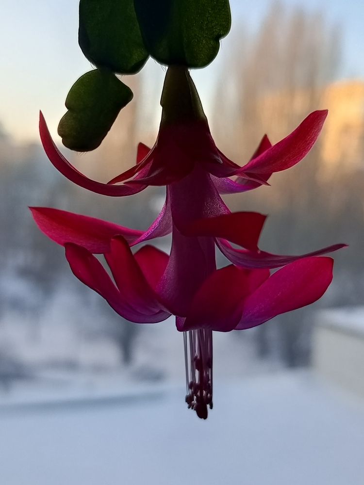 Photograph by Наталья Сырых