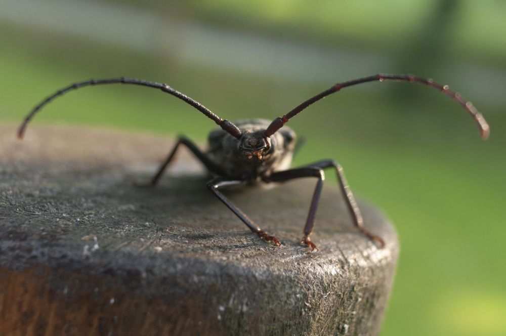 Фотография автора james mossali