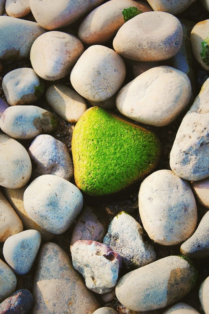 Photograph by Анна Захарчук