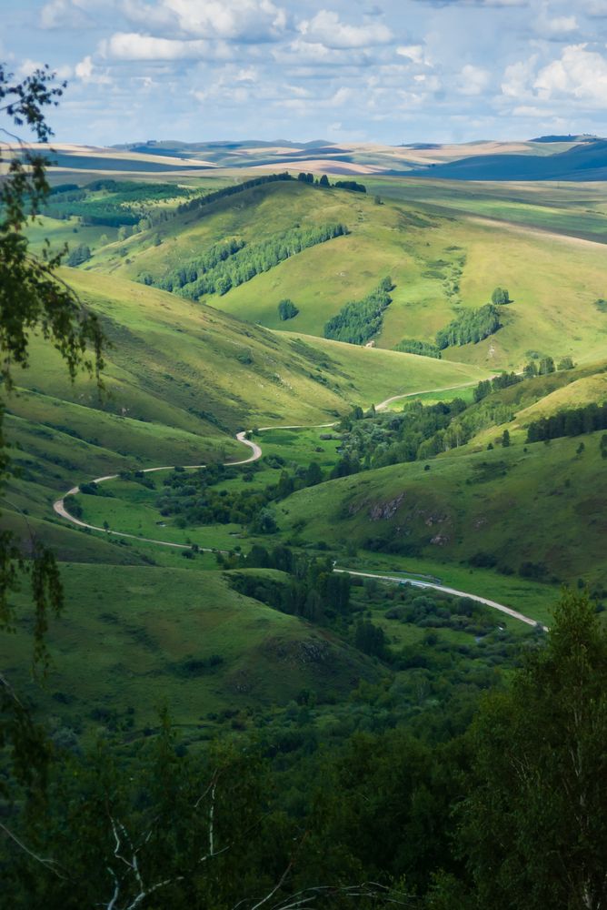 Алтайская дорога