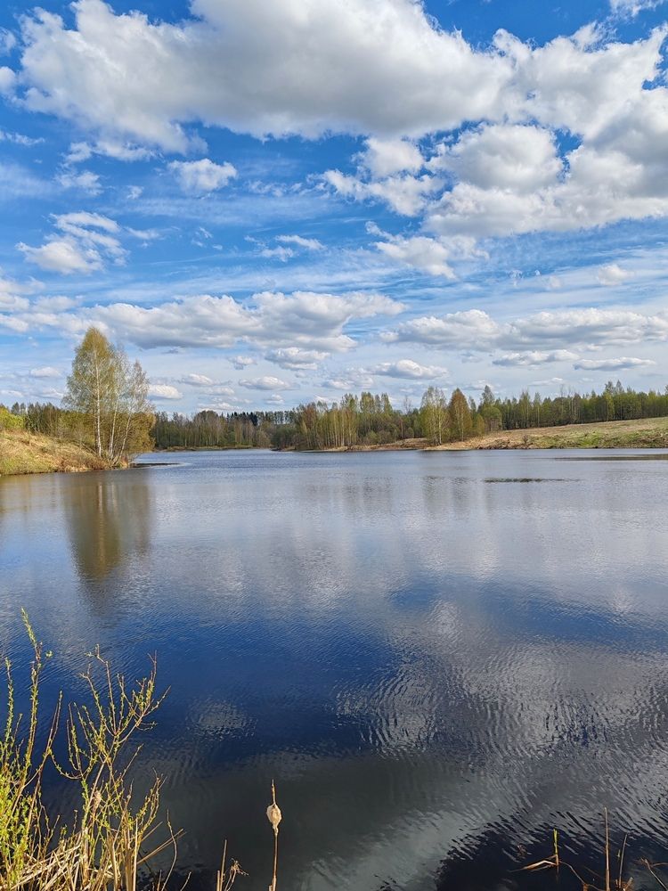Photograph by Екатерина