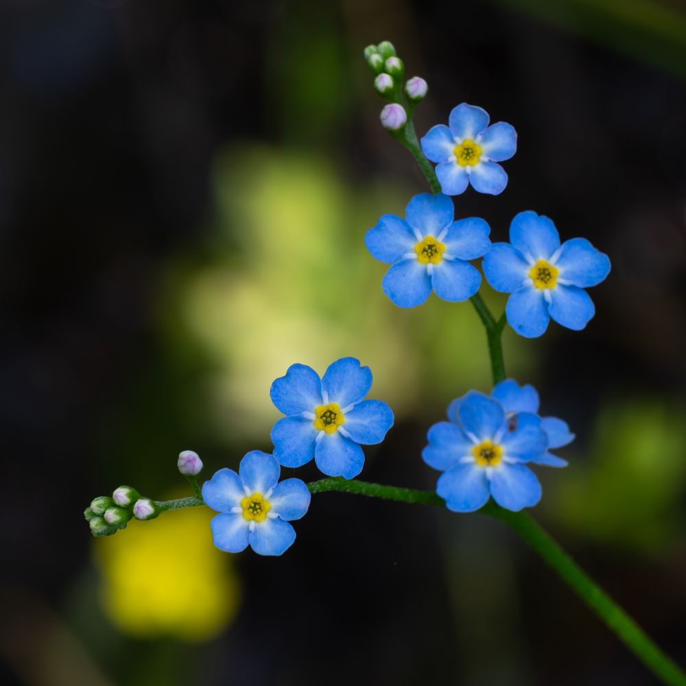 Photograph by Agita Leimane