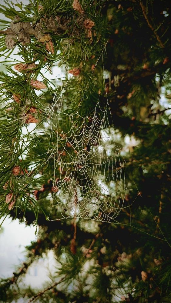 Photograph by егор иван