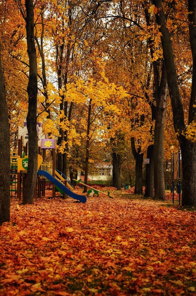 Photograph by Никита Русецкий