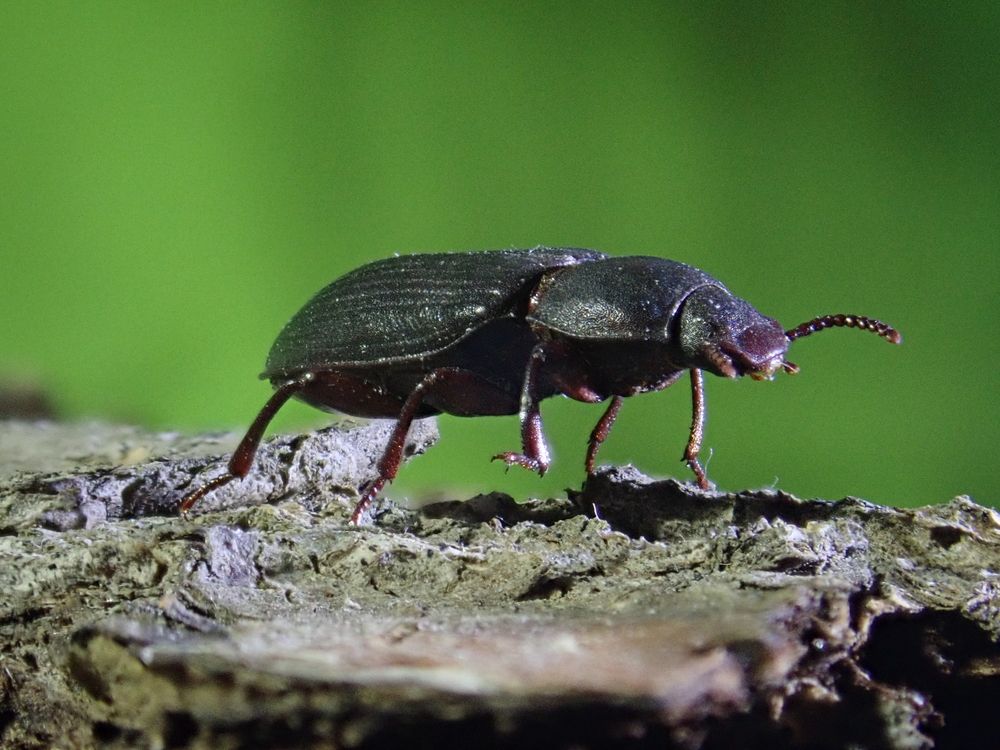 Photograph by Леонид Астапчик