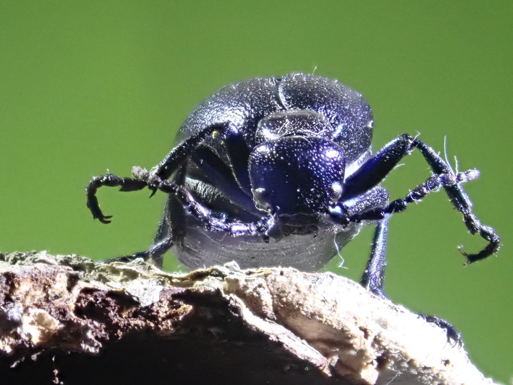 Photograph by Леонид Астапчик