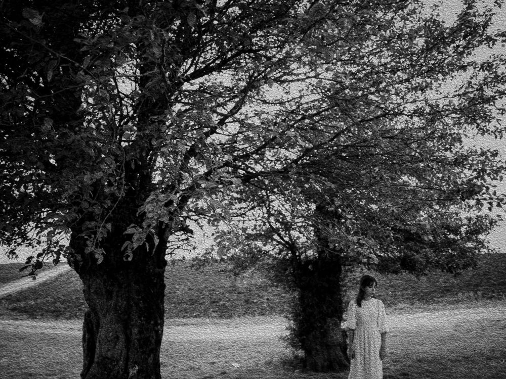 Photograph by mahyar sj