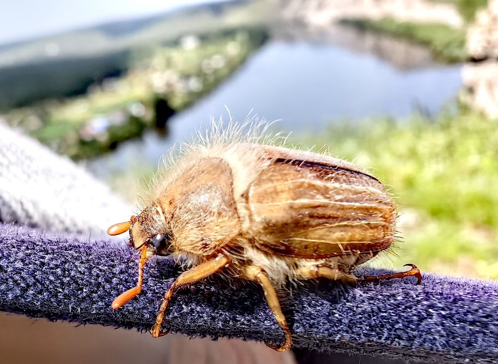 Photograph by Максим Тельтевский