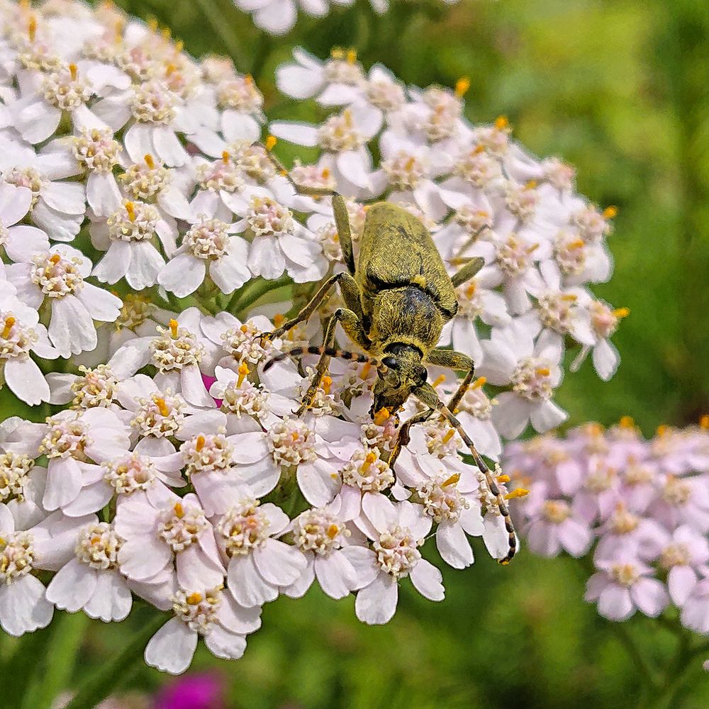 Время обеда...