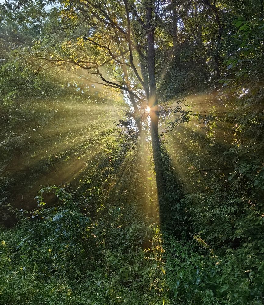 Photograph by Maiya Bulatova