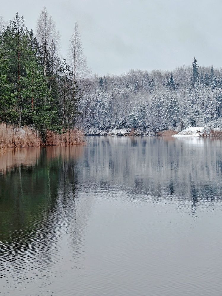 Первый снег в ноябре.