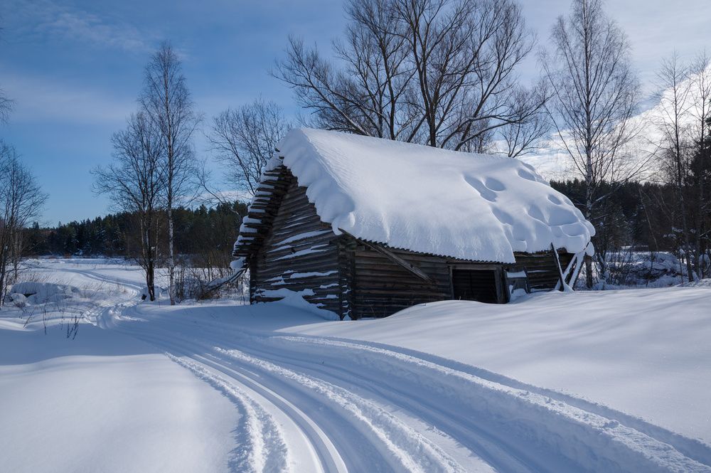 Зимний пейзаж