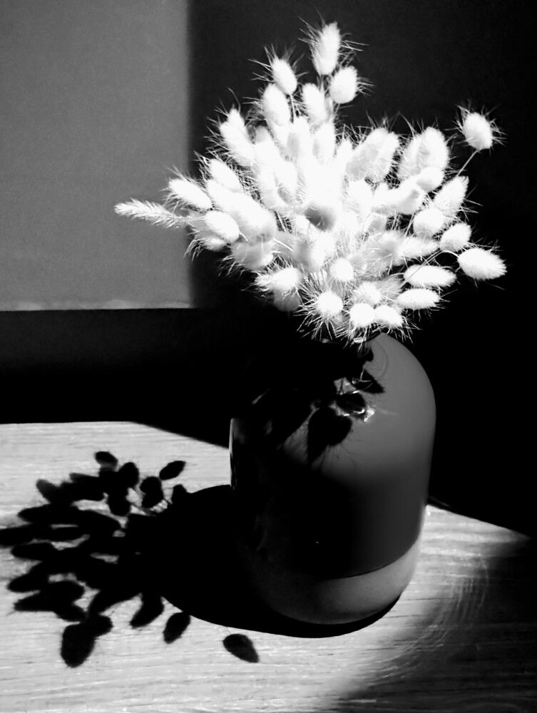 Photograph by Александр Айзенштадт