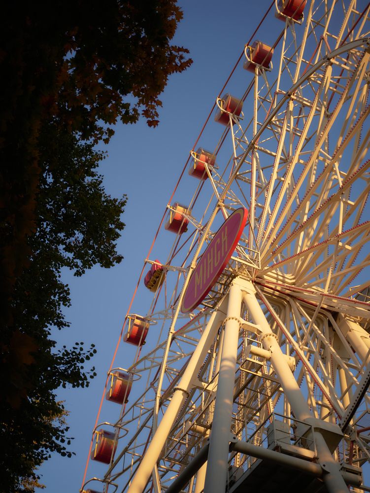 Photograph by Виктория Селетыцкая