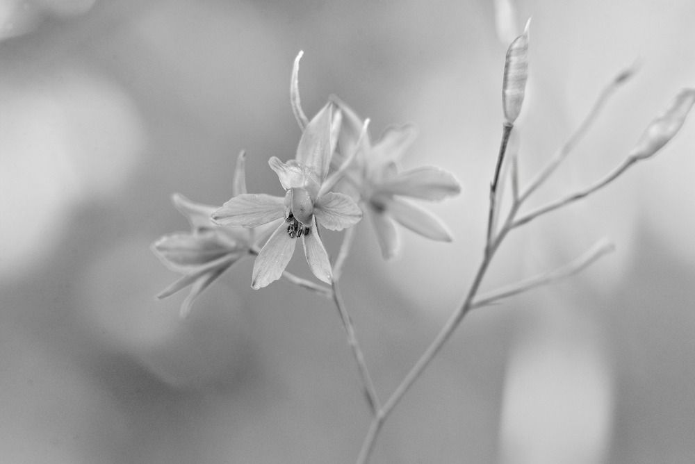 Photograph by Олег Шлыгин