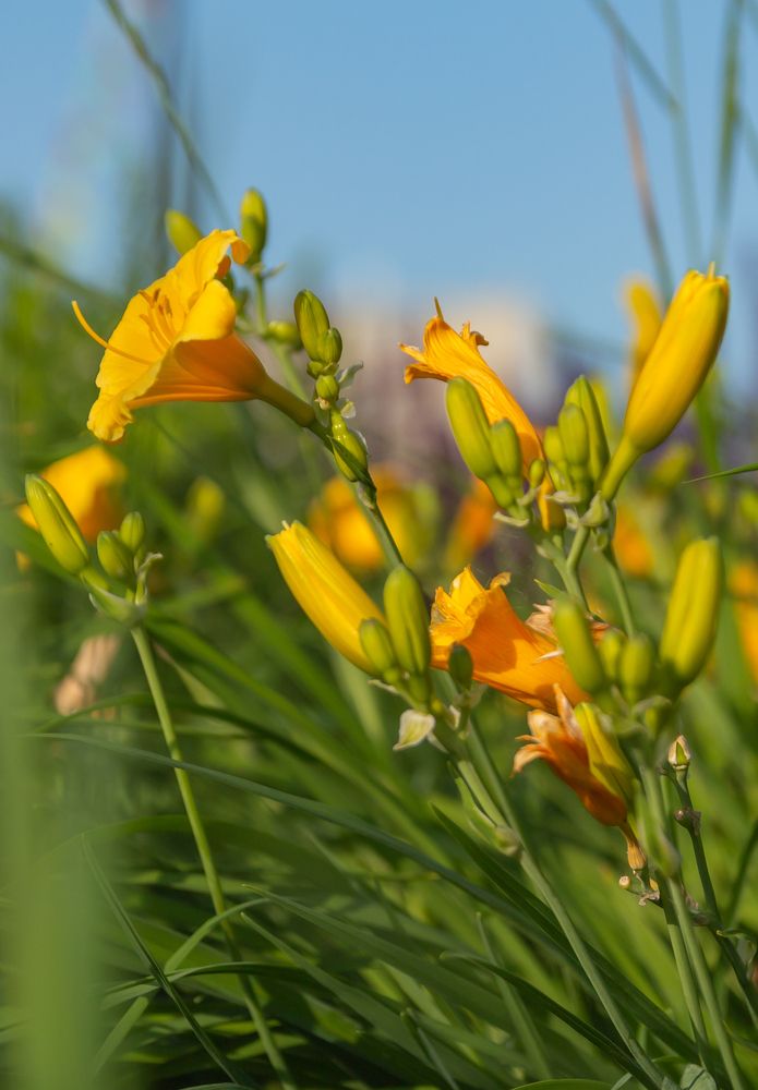 Photograph by Сергей Гончаров