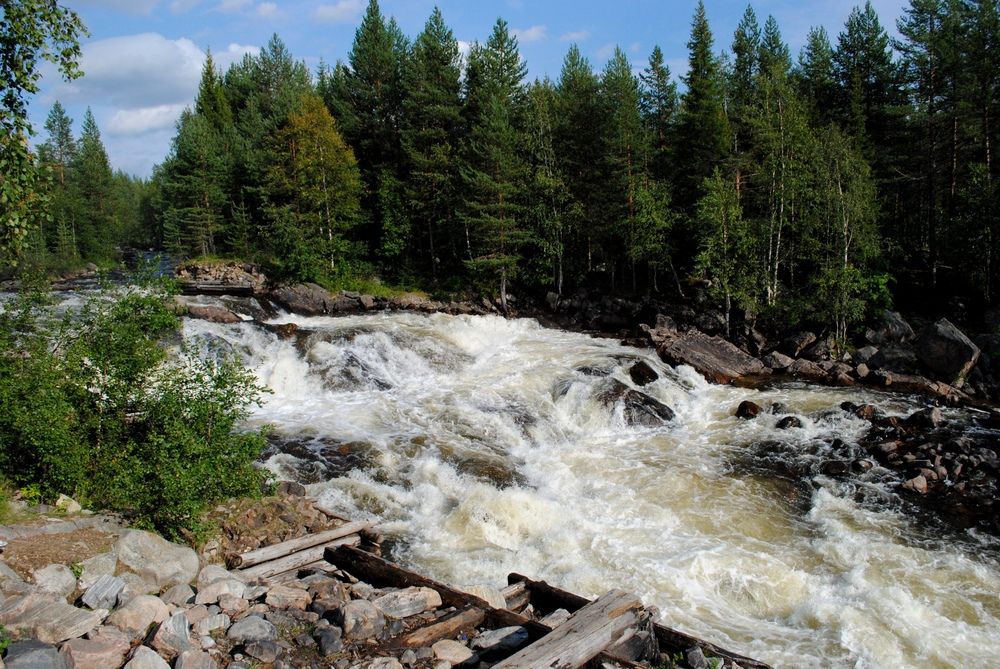 Photograph by Ольга