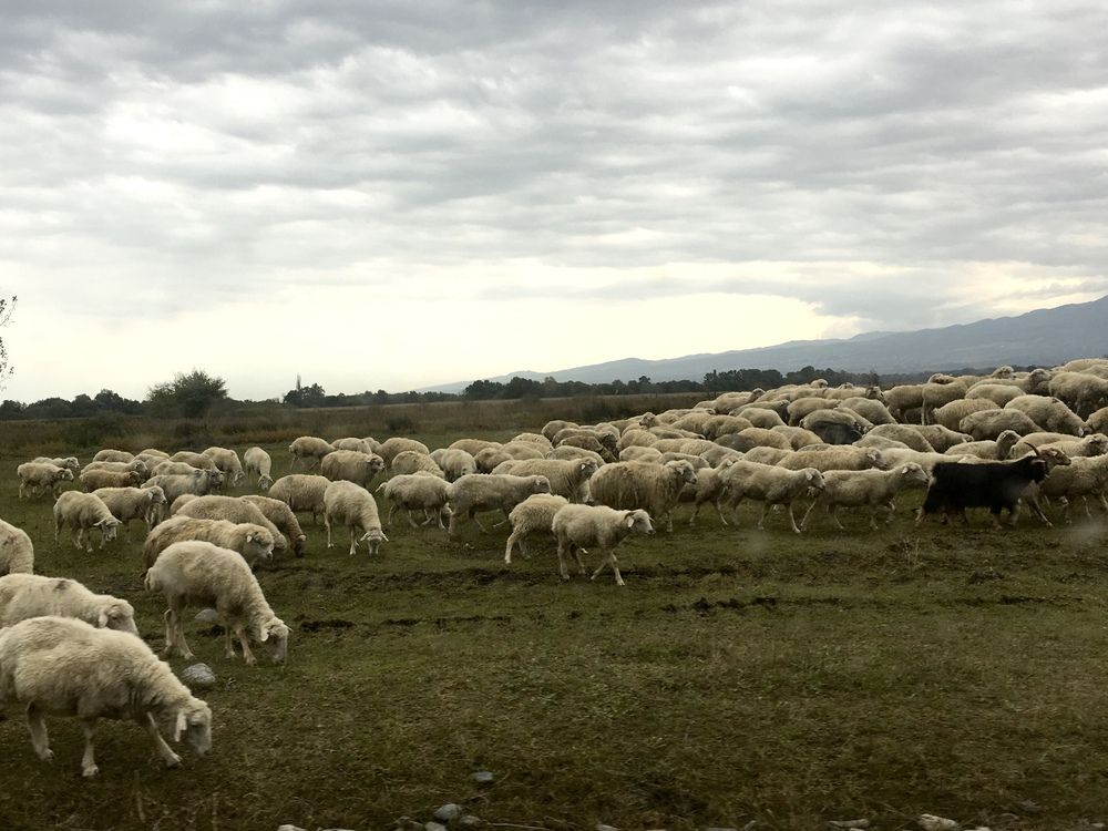 Photograph by Анастасия Воропаева