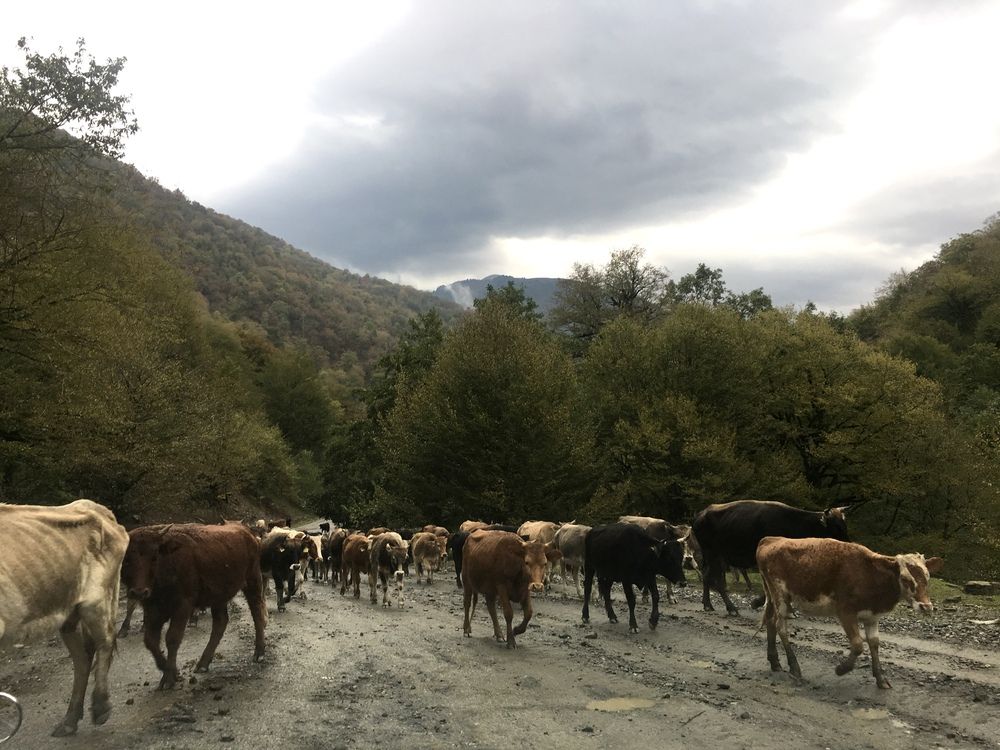 Photograph by Анастасия Воропаева