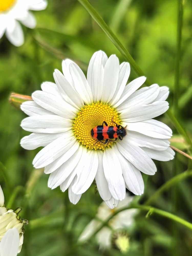 Photograph by Дмитрий Батраков