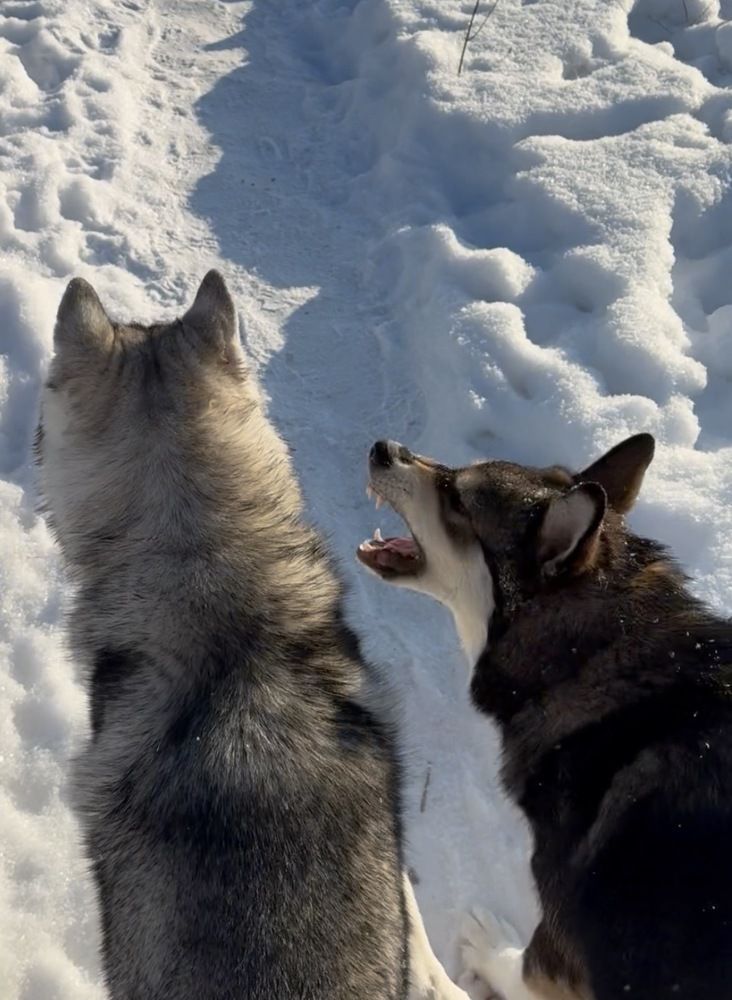 Photograph by Анастасия Воропаева