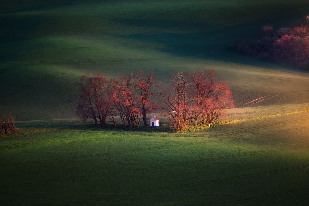Photograph by Karádi Zita