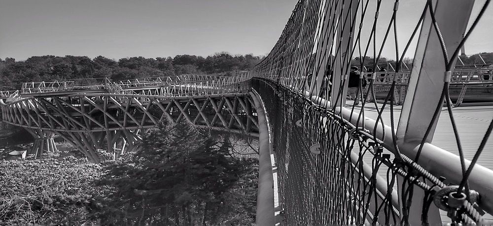 Bridge of Nature