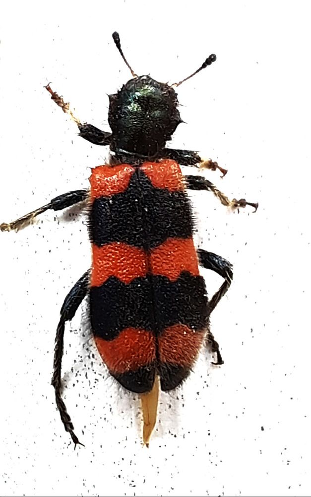 Photograph by Владимир Малёшин