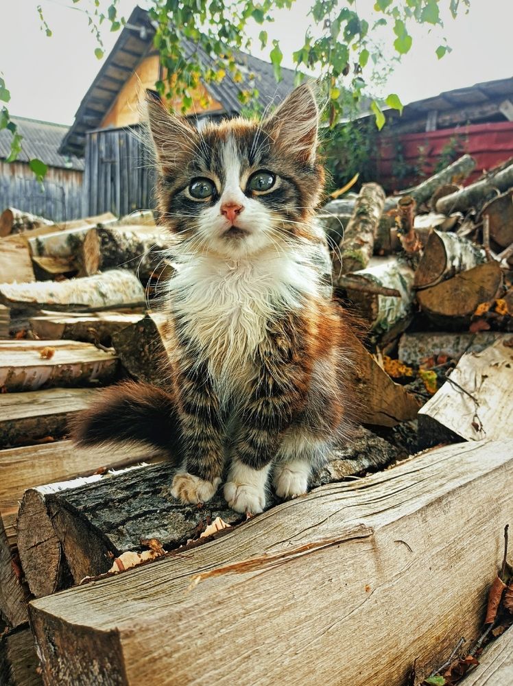 Photograph by Анна Захарчук