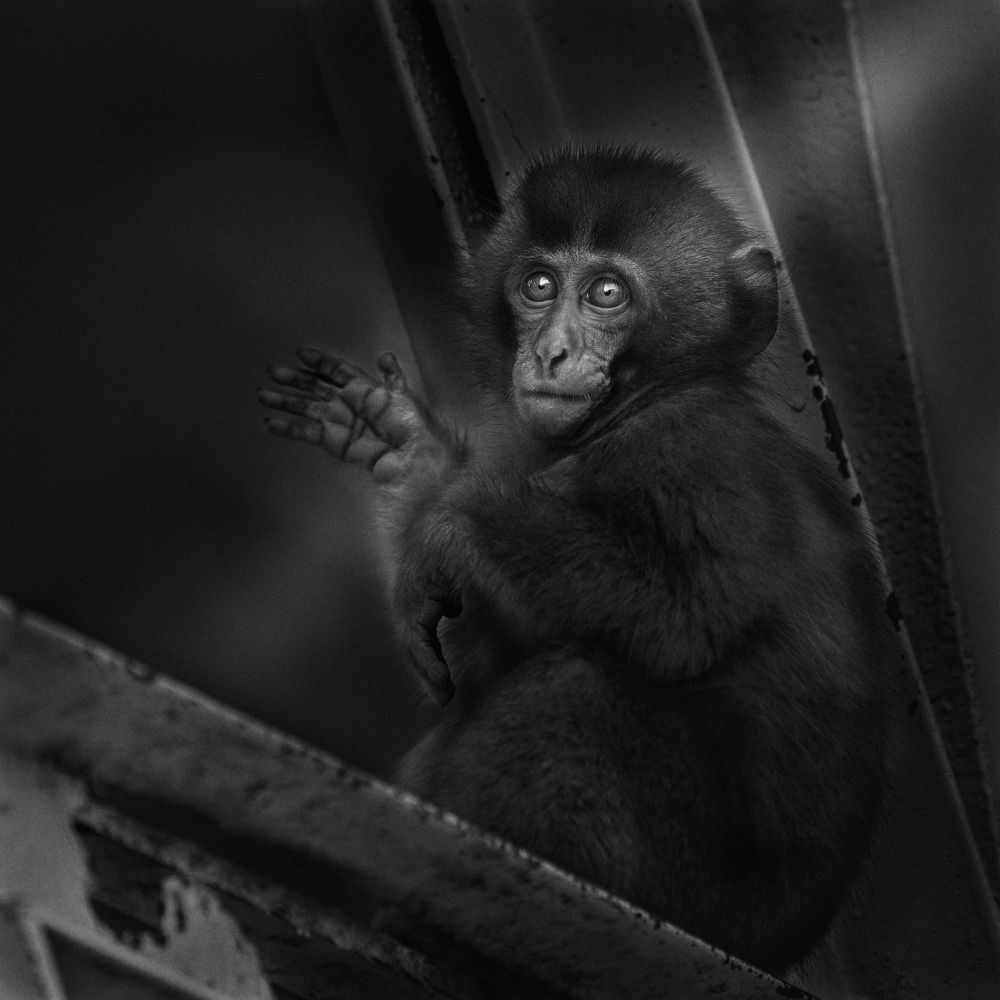 Фотография автора Kaisyakuji Yushi