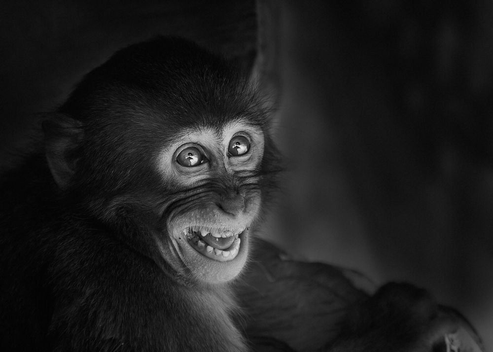 Фотография автора Kaisyakuji Yushi