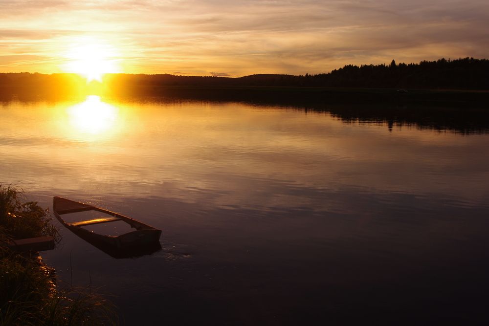 Photo #13388210