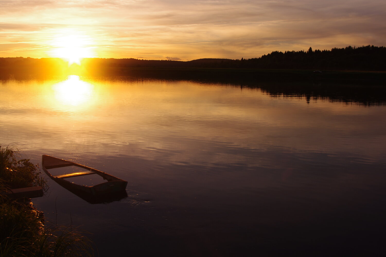 Photo #13388210