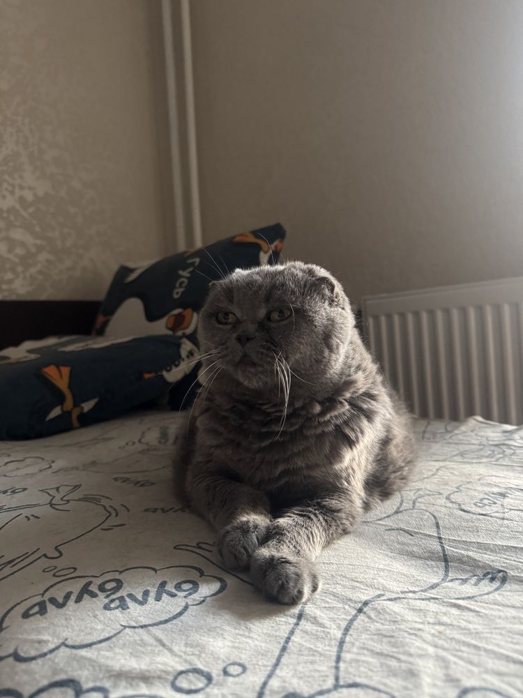 Photograph by Алёна Савостьянова