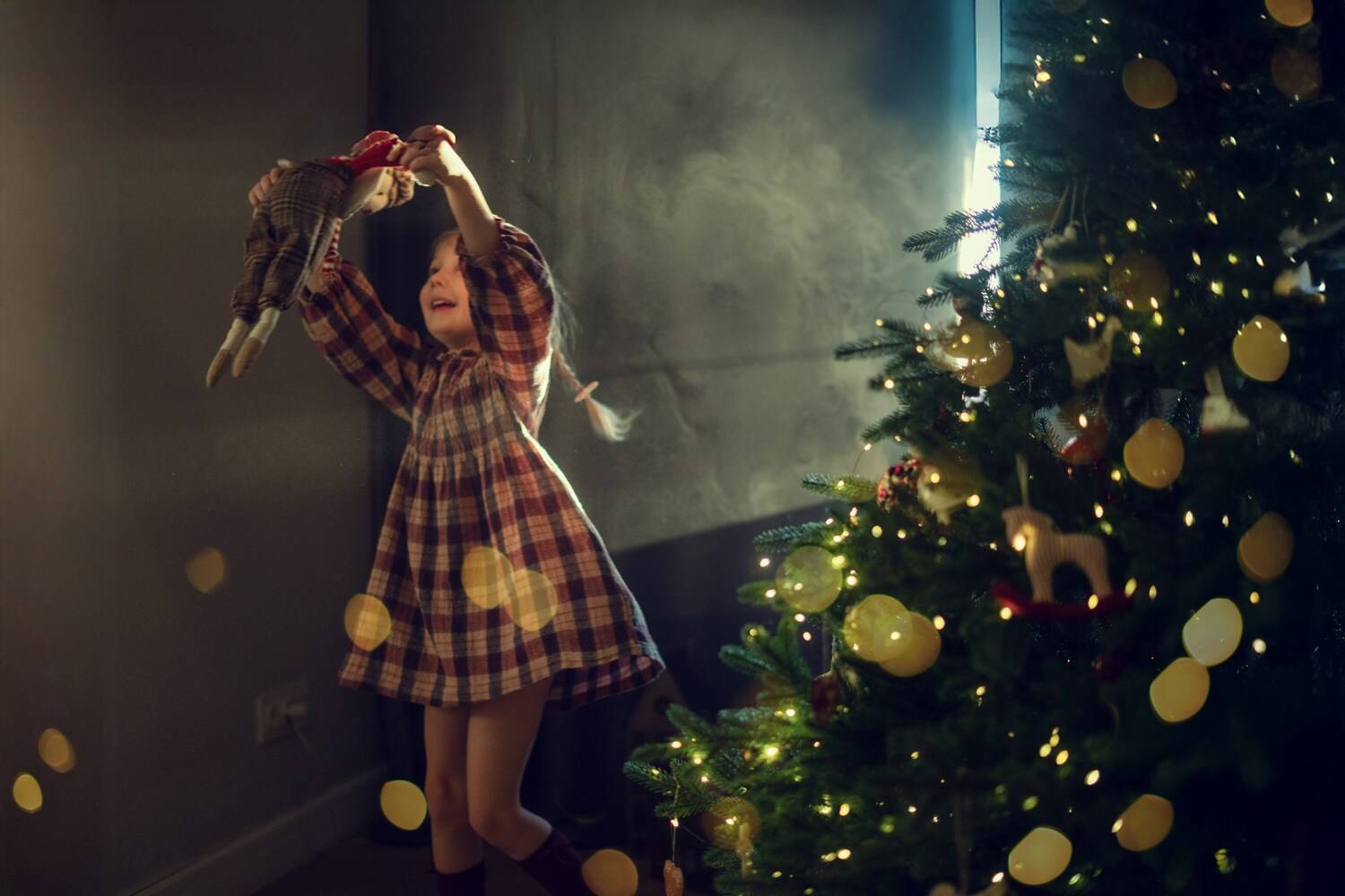 Фотография #13388351