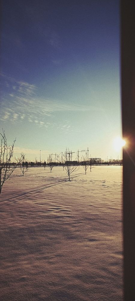 Photograph by Елена Калинина