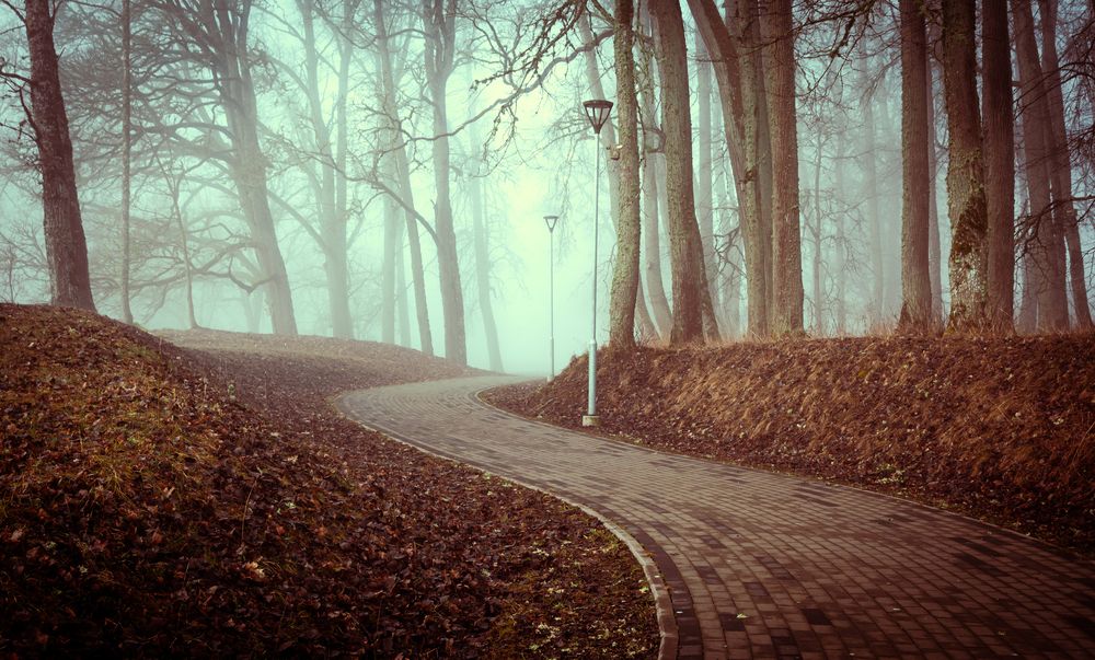 Photograph by Agita Leimane