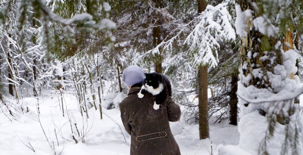 Фотография автора Сергей Цыганов