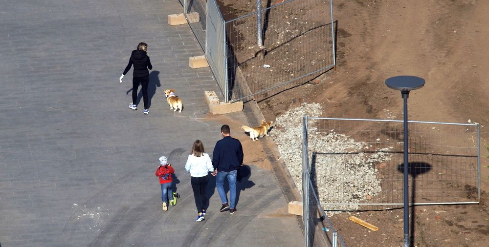 Фотография автора Сергей Цыганов