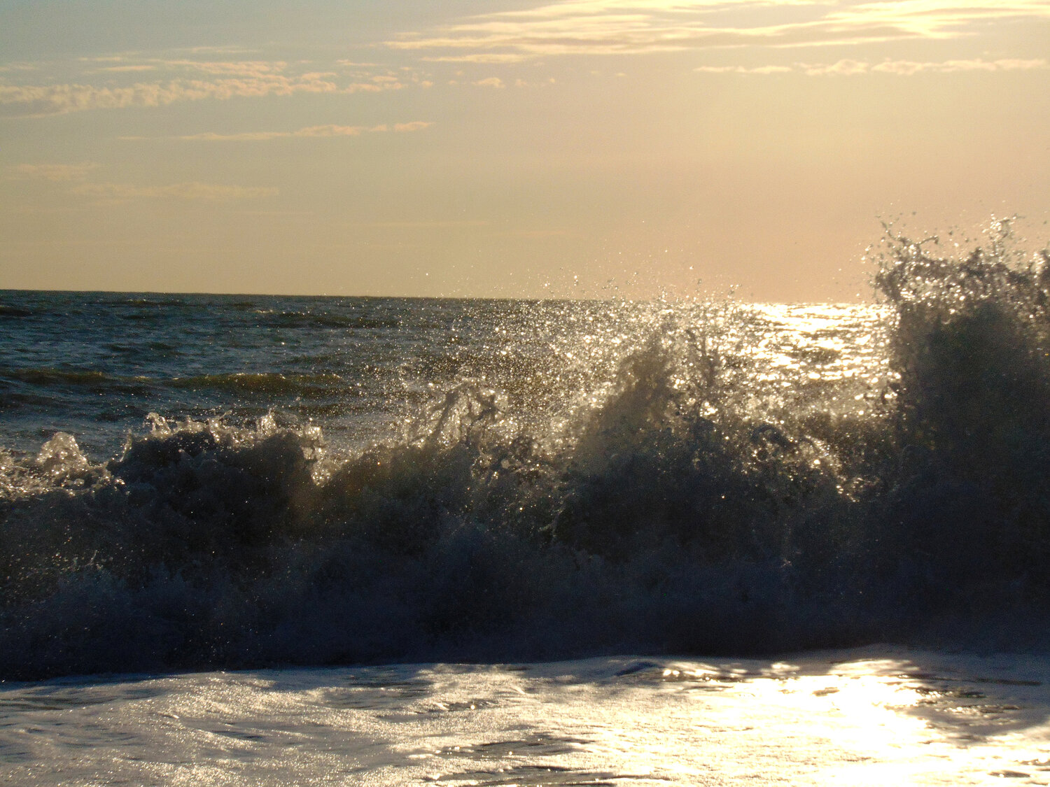 Photo #13388451