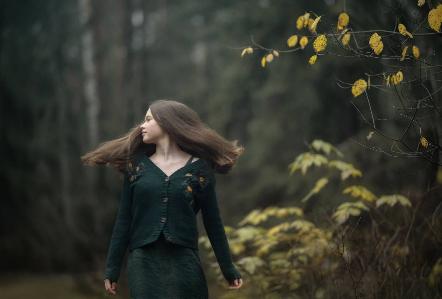 Фотография #13388468